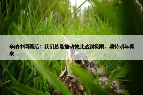 辛纳中网赛后：我们总是推动彼此达到极限，期待明年再来