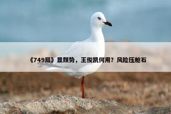 《749局》显颓势，王俊凯何用？风险压舱石