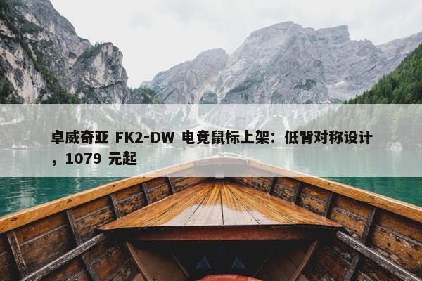 卓威奇亚 FK2-DW 电竞鼠标上架：低背对称设计，1079 元起