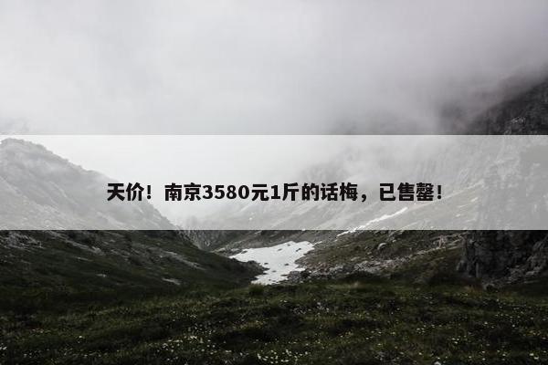 天价！南京3580元1斤的话梅，已售罄！