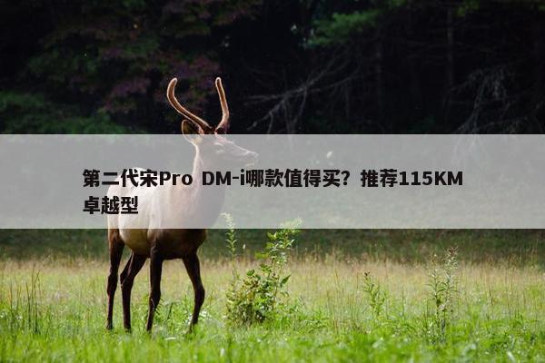 第二代宋Pro DM-i哪款值得买？推荐115KM卓越型