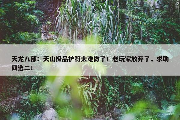 天龙八部：天山极品护符太难做了！老玩家放弃了，求助四选二！