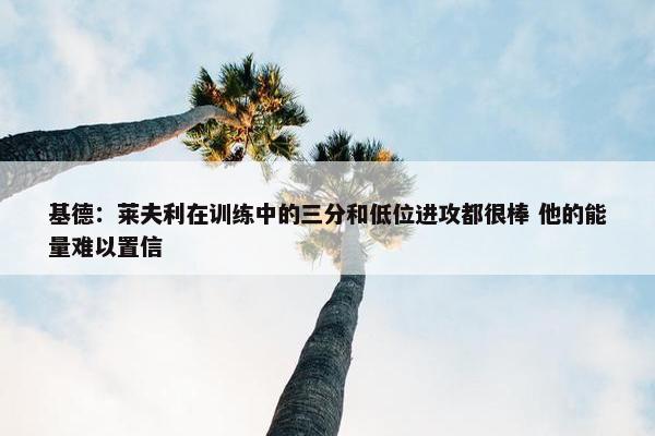 基德：莱夫利在训练中的三分和低位进攻都很棒 他的能量难以置信