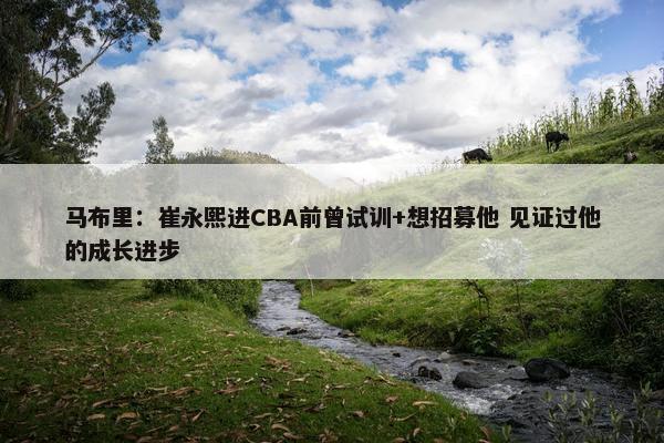 马布里：崔永熙进CBA前曾试训+想招募他 见证过他的成长进步