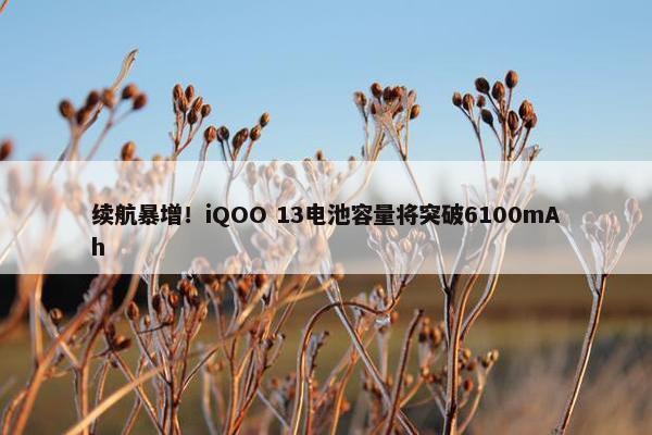 续航暴增！iQOO 13电池容量将突破6100mAh