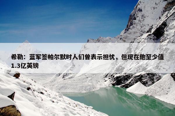 希勒：蓝军签帕尔默时人们曾表示担忧，但现在他至少值1.3亿英镑