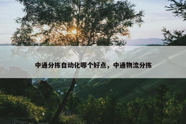 中通分拣自动化哪个好点，中通物流分拣