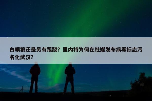 白眼狼还是另有蹊跷？里内特为何在社媒发布病毒标志污名化武汉？