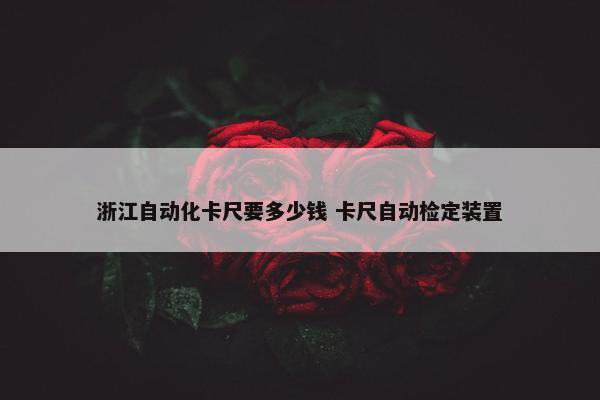 浙江自动化卡尺要多少钱 卡尺自动检定装置