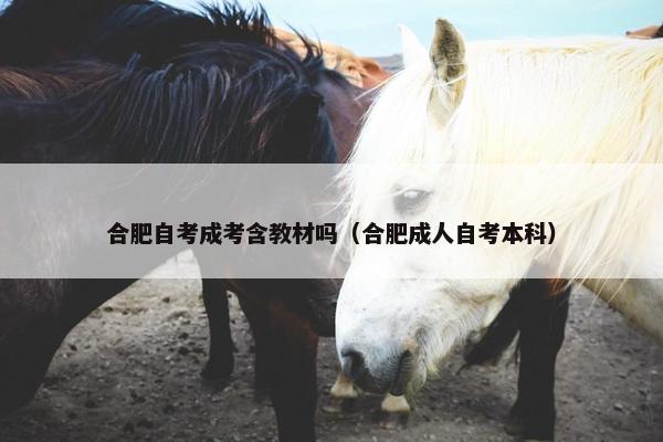 合肥自考成考含教材吗（合肥成人自考本科）