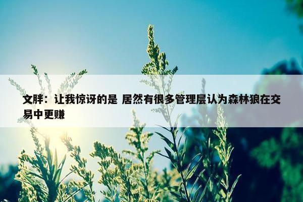 文胖：让我惊讶的是 居然有很多管理层认为森林狼在交易中更赚