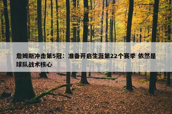 詹姆斯冲击第5冠：准备开启生涯第22个赛季 依然是球队战术核心