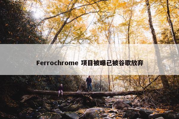 Ferrochrome 项目被曝已被谷歌放弃