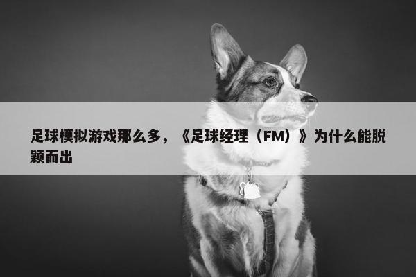 足球模拟游戏那么多，《足球经理（FM）》为什么能脱颖而出