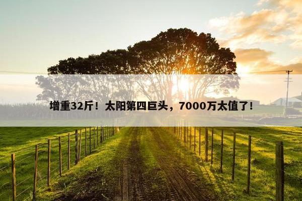 增重32斤！太阳第四巨头，7000万太值了！