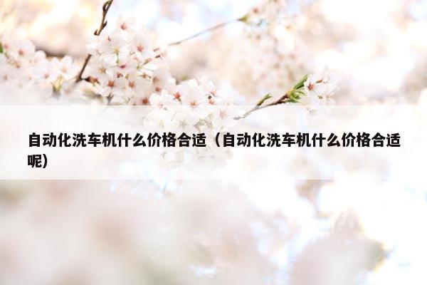 自动化洗车机什么价格合适（自动化洗车机什么价格合适呢）