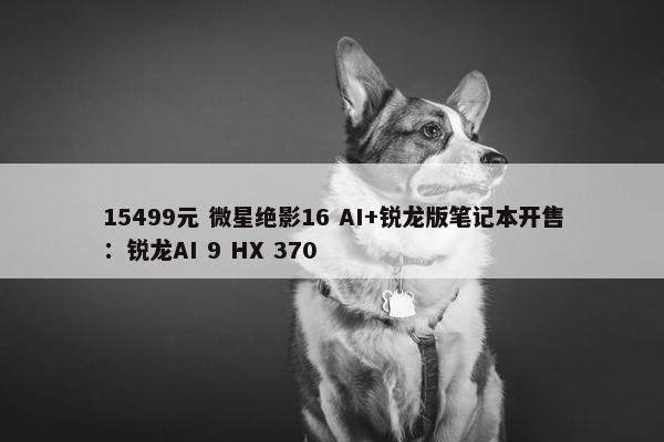 15499元 微星绝影16 AI+锐龙版笔记本开售：锐龙AI 9 HX 370