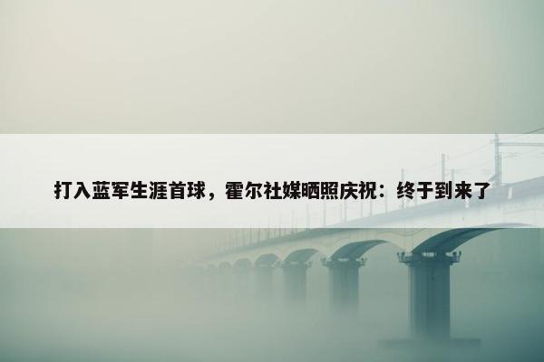 打入蓝军生涯首球，霍尔社媒晒照庆祝：终于到来了