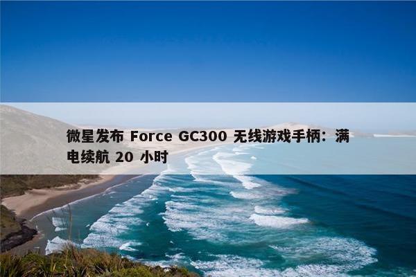 微星发布 Force GC300 无线游戏手柄：满电续航 20 小时