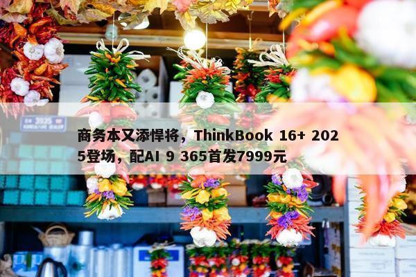 商务本又添悍将，ThinkBook 16+ 2025登场，配AI 9 365首发7999元