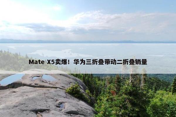 Mate X5卖爆！华为三折叠带动二折叠销量