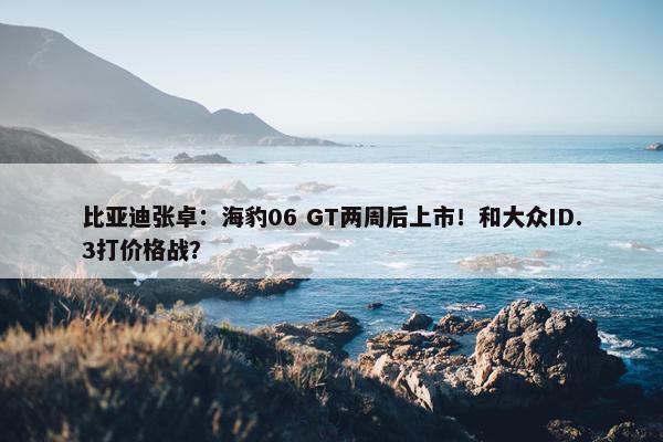 比亚迪张卓：海豹06 GT两周后上市！和大众ID.3打价格战？