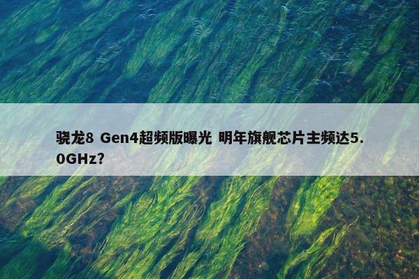 骁龙8 Gen4超频版曝光 明年旗舰芯片主频达5.0GHz？