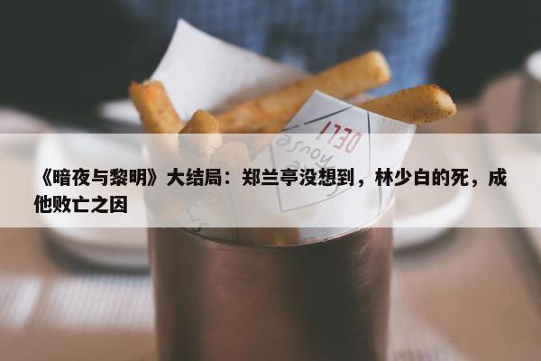 《暗夜与黎明》大结局：郑兰亭没想到，林少白的死，成他败亡之因