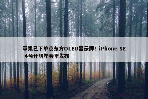 苹果已下单京东方OLED显示屏！iPhone SE 4预计明年春季发布