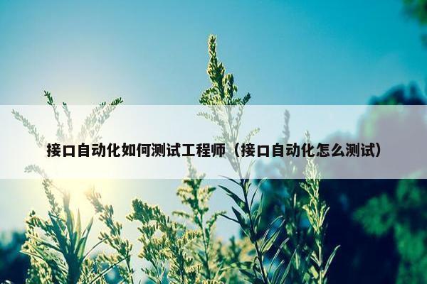 接口自动化如何测试工程师（接口自动化怎么测试）