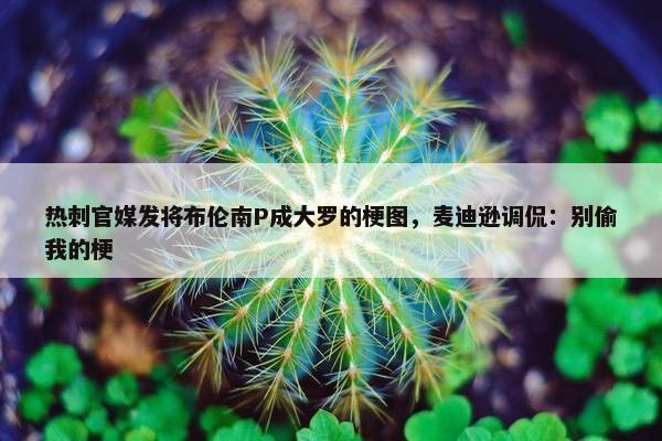 热刺官媒发将布伦南P成大罗的梗图，麦迪逊调侃：别偷我的梗