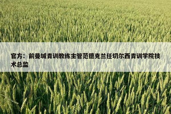 官方：前曼城青训教练主管范德克兰任切尔西青训学院技术总监