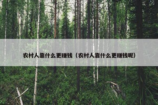 农村人靠什么更赚钱（农村人靠什么更赚钱呢）