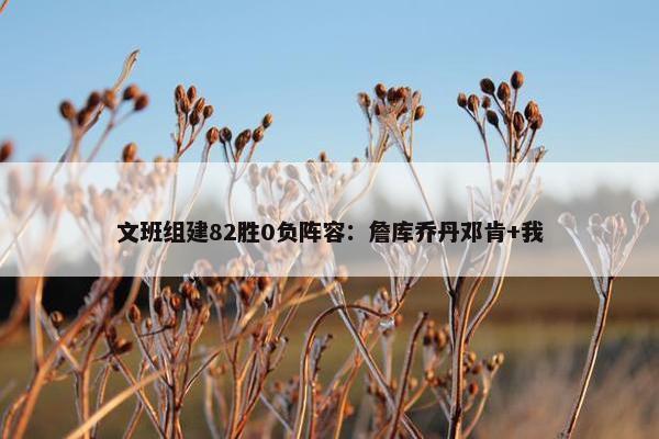 文班组建82胜0负阵容：詹库乔丹邓肯+我