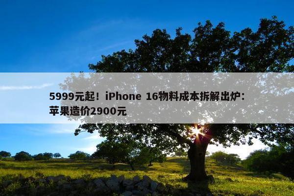 5999元起！iPhone 16物料成本拆解出炉：苹果造价2900元