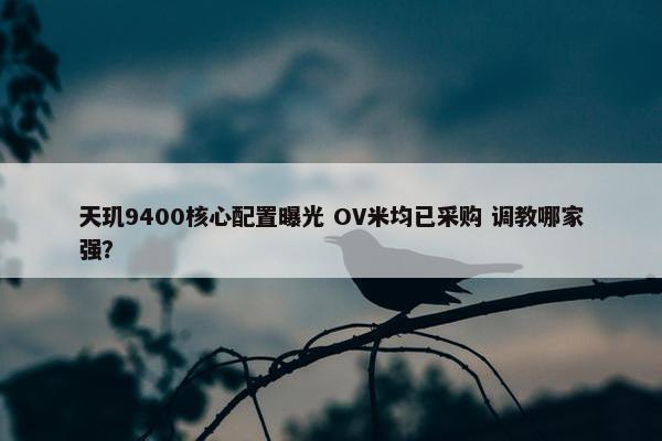 天玑9400核心配置曝光 OV米均已采购 调教哪家强？