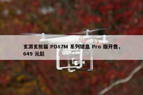 玄派玄熊猫 PD87M 系列键盘 Pro 版开售，649 元起