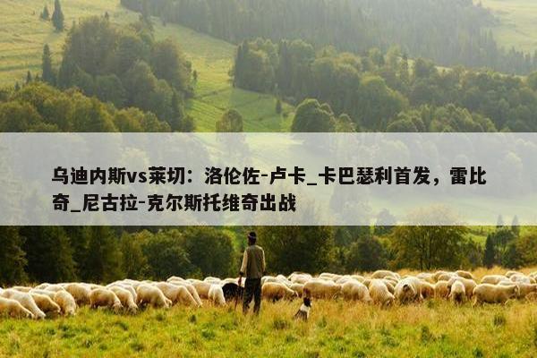 乌迪内斯vs莱切：洛伦佐-卢卡_卡巴瑟利首发，雷比奇_尼古拉-克尔斯托维奇出战