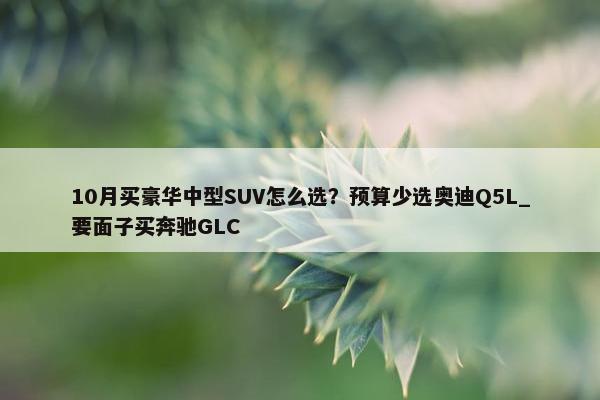 10月买豪华中型SUV怎么选？预算少选奥迪Q5L_要面子买奔驰GLC