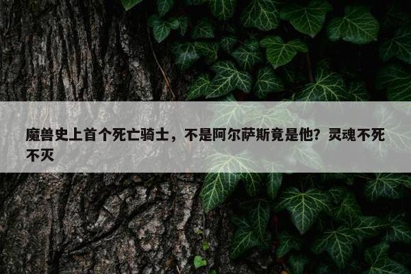 魔兽史上首个死亡骑士，不是阿尔萨斯竟是他？灵魂不死不灭