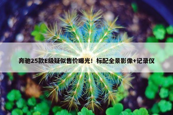 奔驰25款E级疑似售价曝光！标配全景影像+记录仪