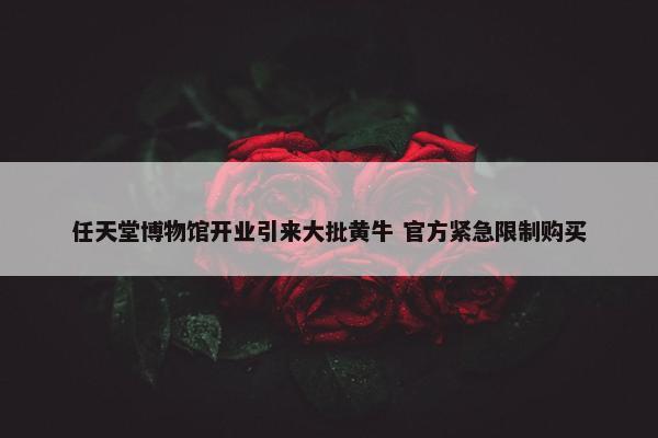 任天堂博物馆开业引来大批黄牛 官方紧急限制购买