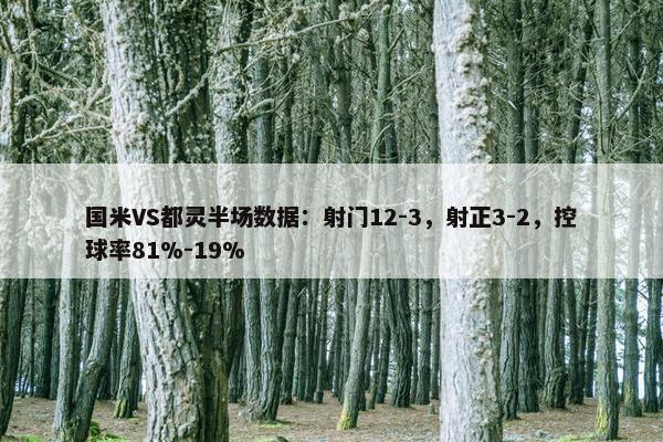 国米VS都灵半场数据：射门12-3，射正3-2，控球率81%-19%