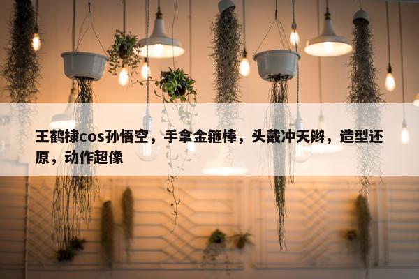 王鹤棣cos孙悟空，手拿金箍棒，头戴冲天辫，造型还原，动作超像