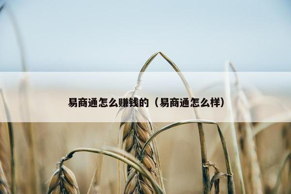 易商通怎么赚钱的（易商通怎么样）