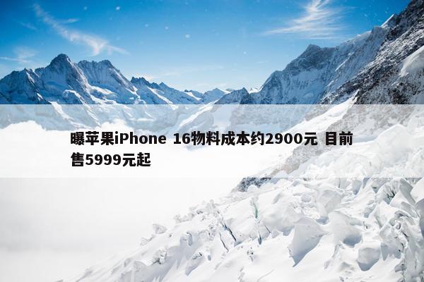 曝苹果iPhone 16物料成本约2900元 目前售5999元起