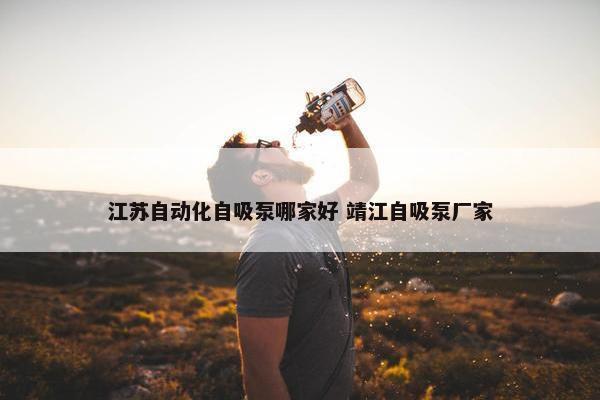 江苏自动化自吸泵哪家好 靖江自吸泵厂家