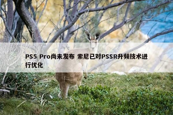 PS5 Pro尚未发布 索尼已对PSSR升频技术进行优化