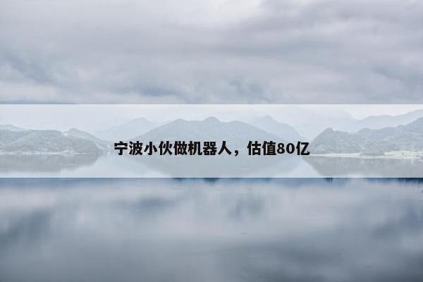 宁波小伙做机器人，估值80亿