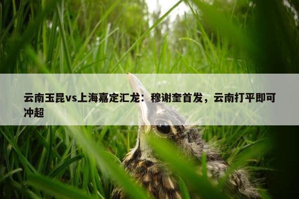 云南玉昆vs上海嘉定汇龙：穆谢奎首发，云南打平即可冲超